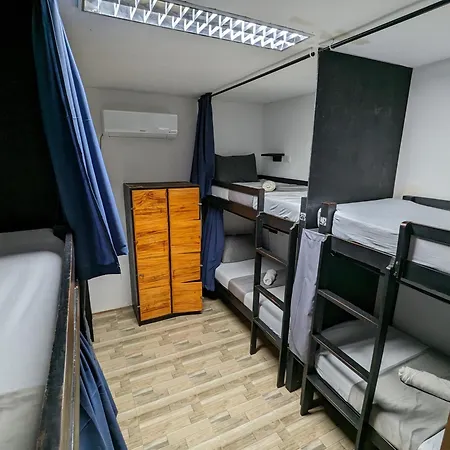 Crazy Bears Hostel-3