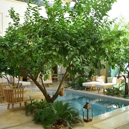 Riad Emberiza Sahari-2