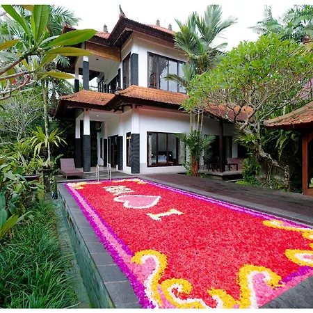 Wegy House-3Br In Udub With Pool And Jungle View-2