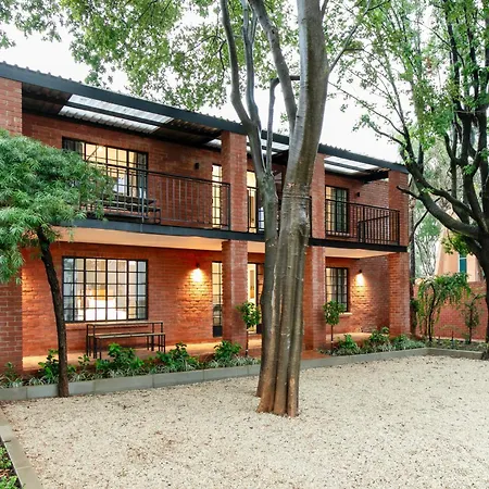 Murray Street 137 Guesthouse-2
