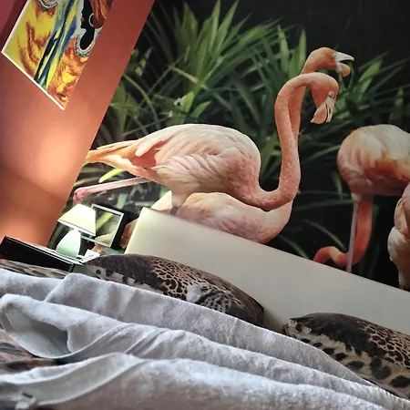 Flamingos Apartman & Fitness Osijek - Blizina Bolnice Kbc Osijek-2