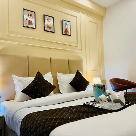 The Classic Crowne At Delhi Airport-3