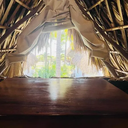 Paredon Surf House-3