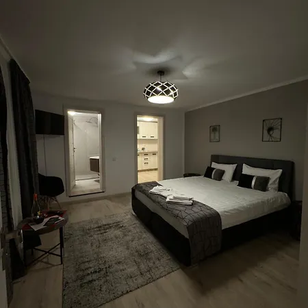 Garsonierele Scandinav-3