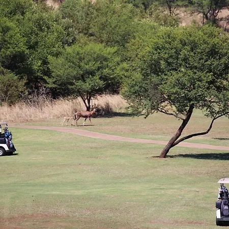 Schrikkloof Private Nature Reserve, Home Of The Lions Foundation-2