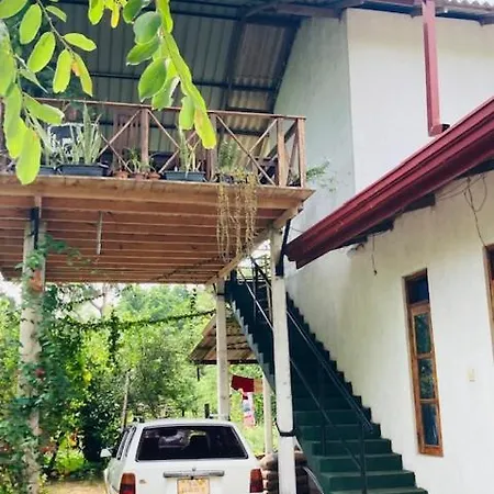 Eco House-2