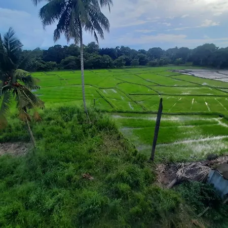 Anuradhapura Kingdom View Resort-2
