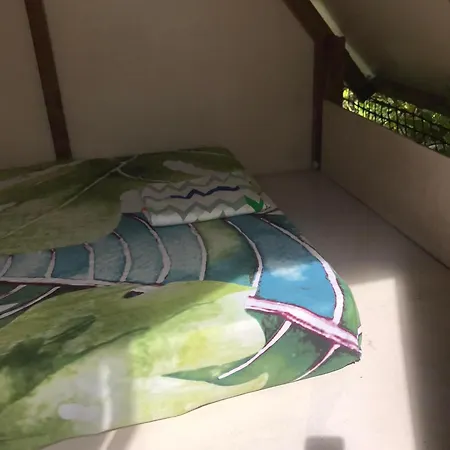 Alaroots Bora Bora Camp-3