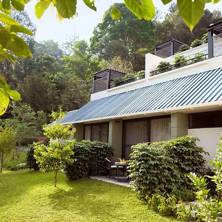 Scenic, Munnar - Ihcl Seleqtions-3