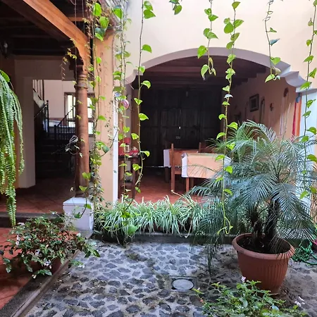 Hotel Casa Sofia-2