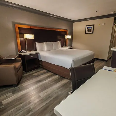 Comfort Inn & Suites Near Universal - N Hollywood - Burbank-3