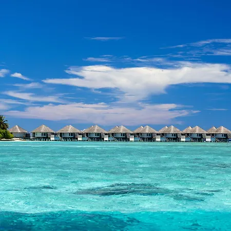 Niva Velassaru Maldives-3