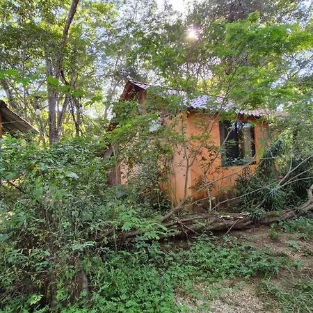 Pachamama Bio Hostel-3