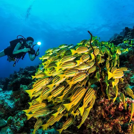 Dusit Thani Maldives - Mudhdhoo Island, Baa Atoll-2