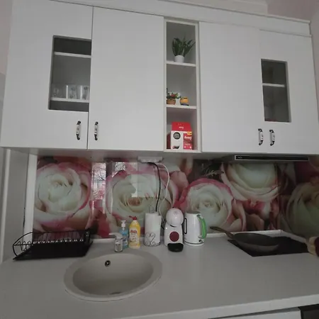 Roses-3
