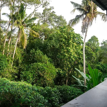 House Of Semar Sari-2