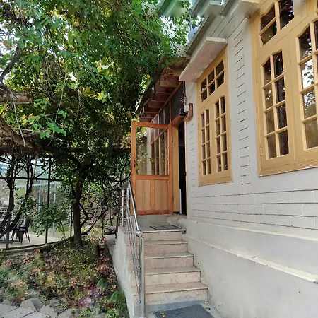 Grapes Garden Resort Hunza-2