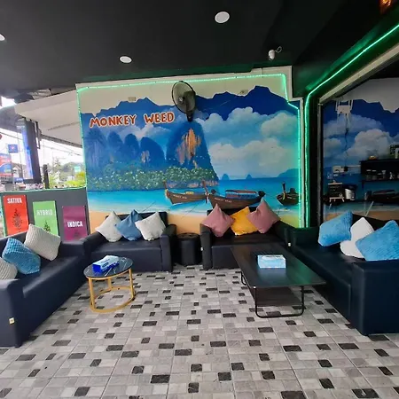 Monkey Hostel-2