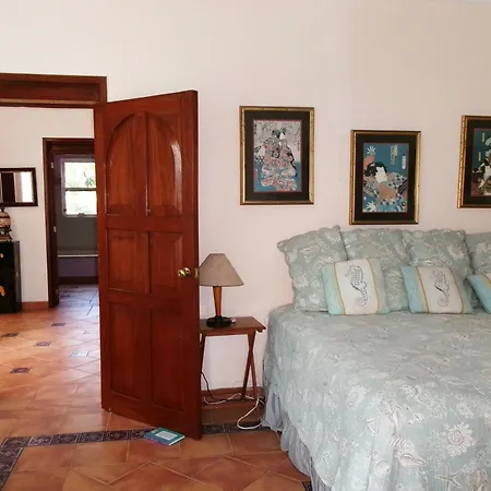 Casa Gatos Suites-3
