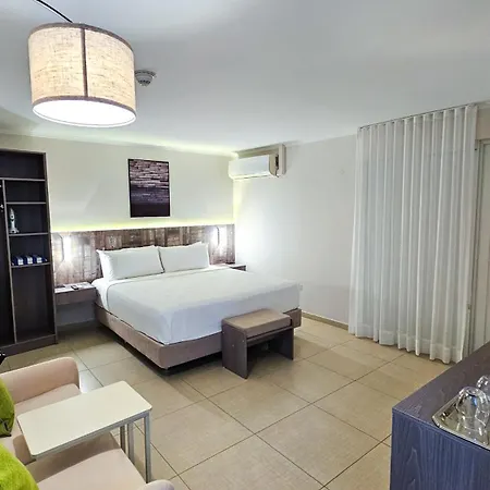 Aruba Boutique & Art Hotel - Adults Only-2