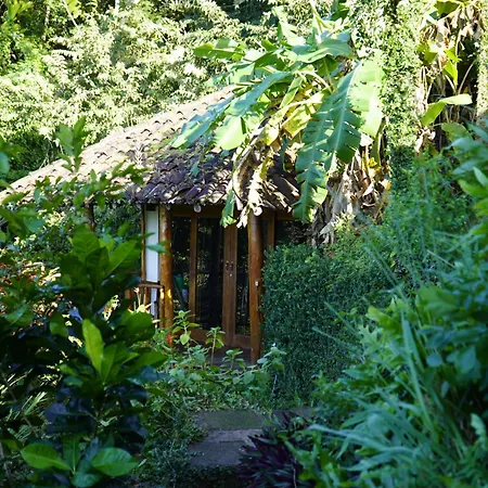 Casa Andalucia-2