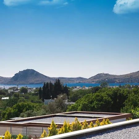Green Park Villas By Important Group Travel-3