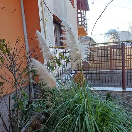 Garsoniera Cu Bucatarie, Iulius Mall-2