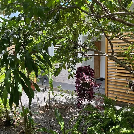 Pension Pare Lodge-3