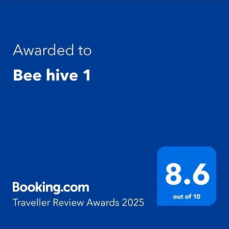 Bee Hive-3
