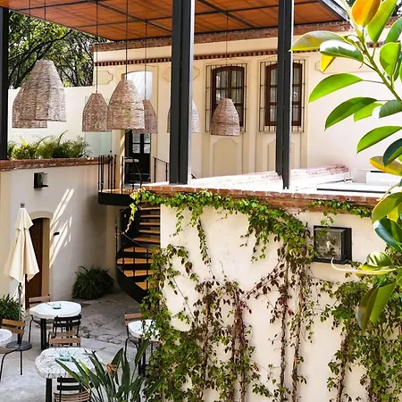 Orchid House Coyoacan-3