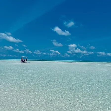 Boheme Zanzibar-2
