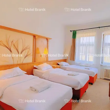Hotel Branik-3