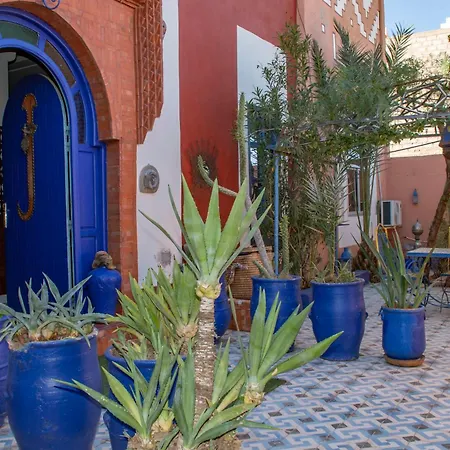 Le Petit Riad Maison D'Hotes-3