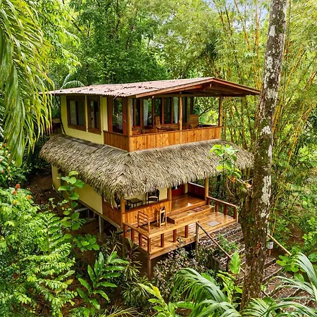 Copa De Arbol Beach & Rainforest Resort-2