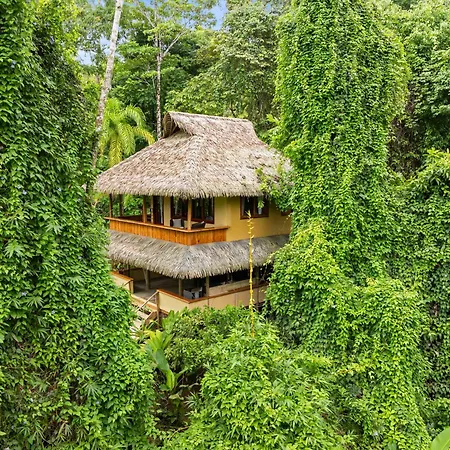 Copa De Arbol Beach & Rainforest Resort-3
