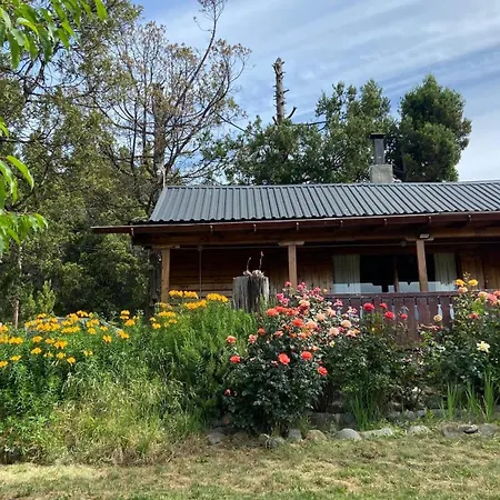 Pico Andino-3