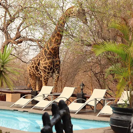 B&B African Rock Lodge-3
