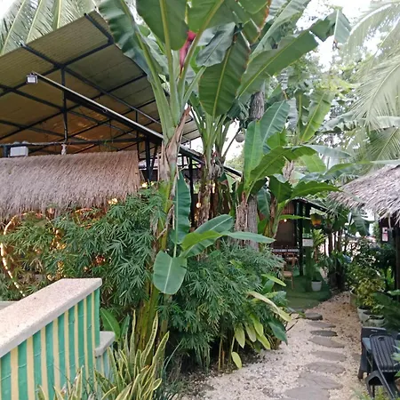 Ecostay Panglao Resort Hotel-3