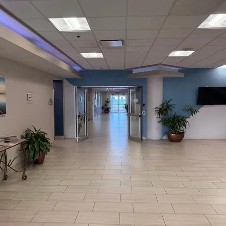 Amazing Ocean View Beachfront Entire Apartment Direct Access To Beach-2
