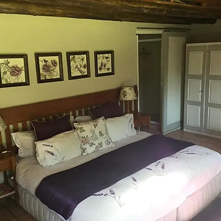Warrens Guest House-2