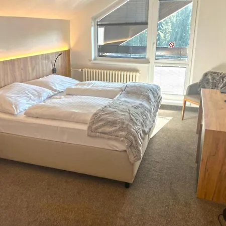 Wellness Hotel Svornost-2