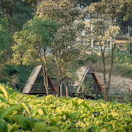 Forestscape Resort Munnar-3