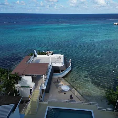Ocean Palms-2