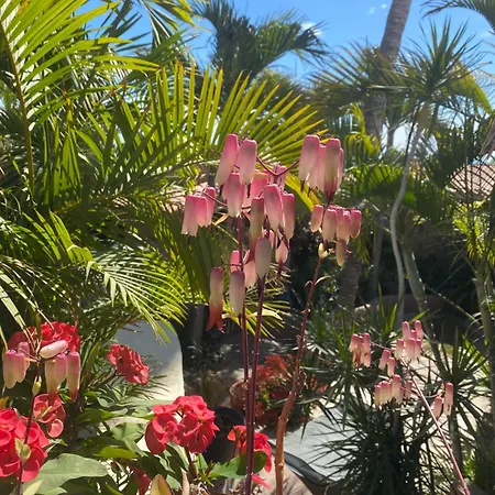 La Casita-3