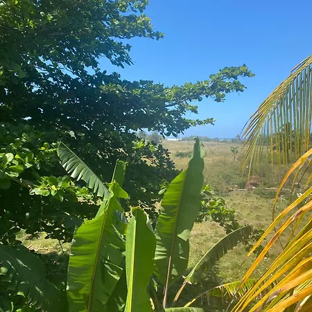 Villa Marsana-2