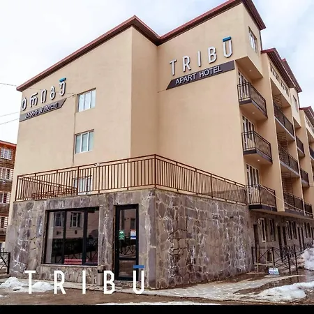 Tribu Apart Hotel-3