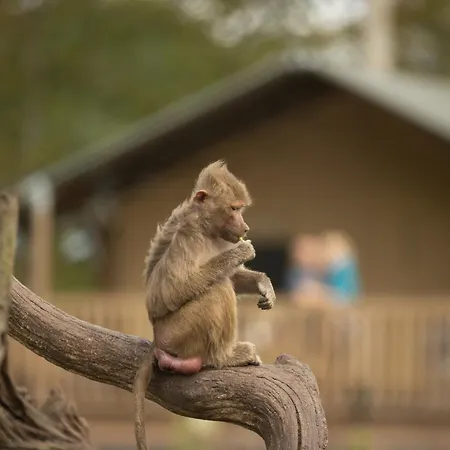 Knuthenborg Safaripark-3