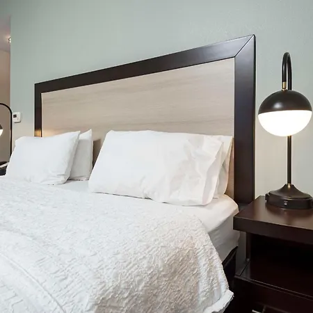 Hampton Inn & Suites - Raleigh Downtown-2