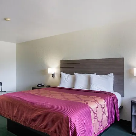 Oyo Inn & Suites Medical Center San Antonio-3
