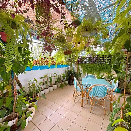 Cabins By Eco Hotels-3